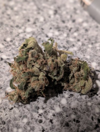 Let's See Your Frostiest Flowers