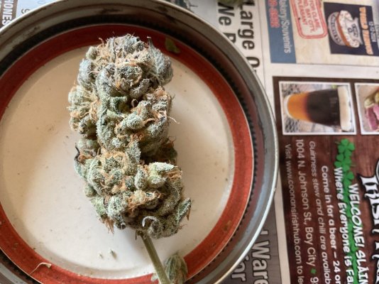 What Are You Smoking?