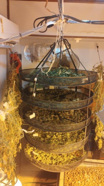 My DIY Hidro setup in Brazil