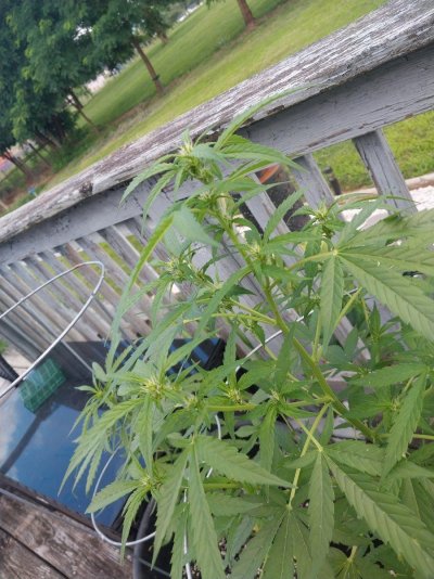 20250706_165738.jpg