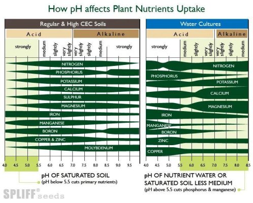Spots on my cannabis plants