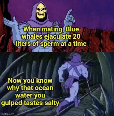 a0tub2.jpg