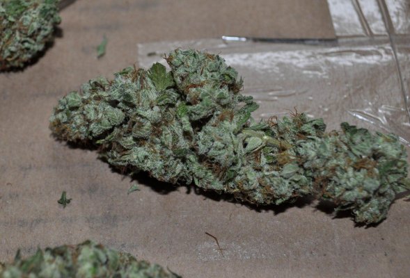 chem d (2).JPG