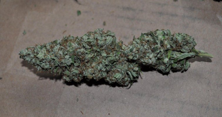 chem d (3).JPG