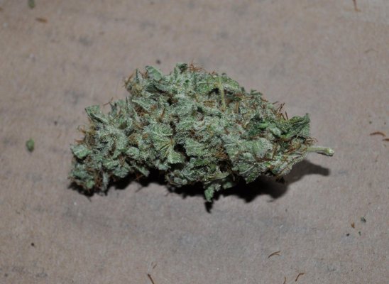 chem d (4).JPG