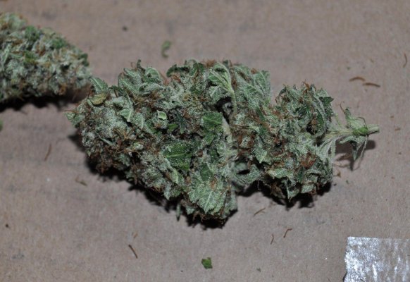chem d (6).JPG
