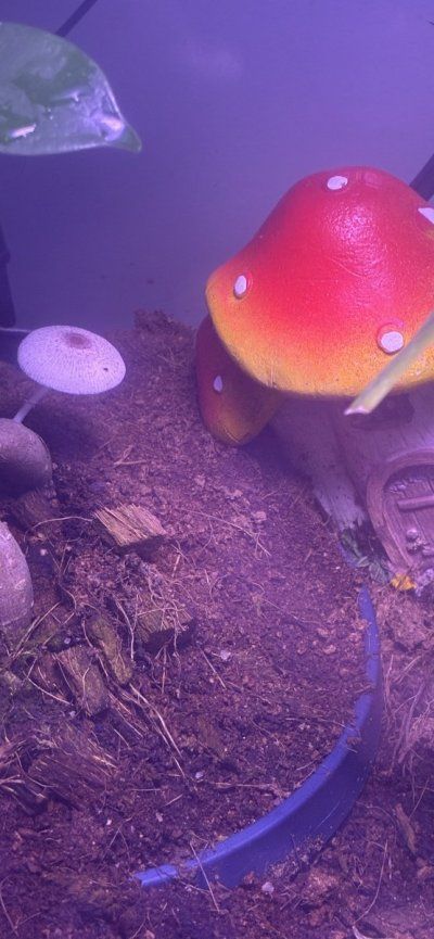 IMG_1152.jpeg
