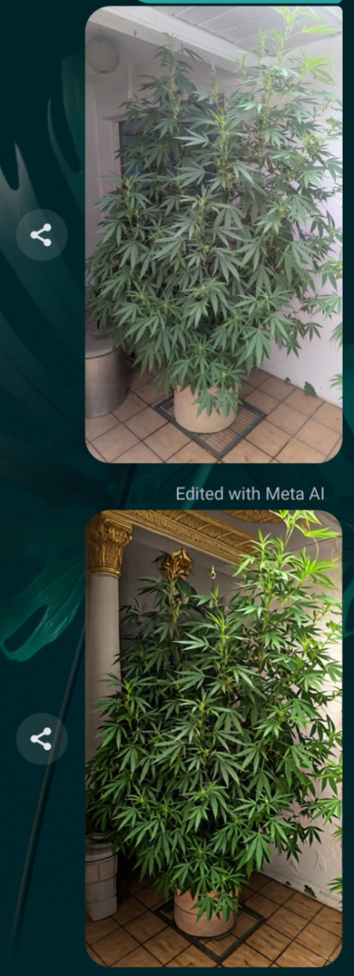 Screenshot_20250810-160745.png