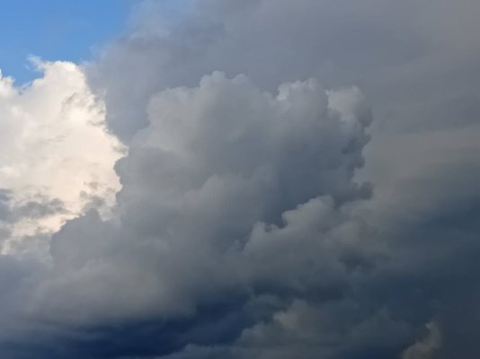20250812_163223.jpg