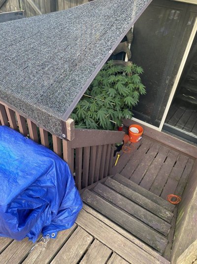IMG_1567.jpeg