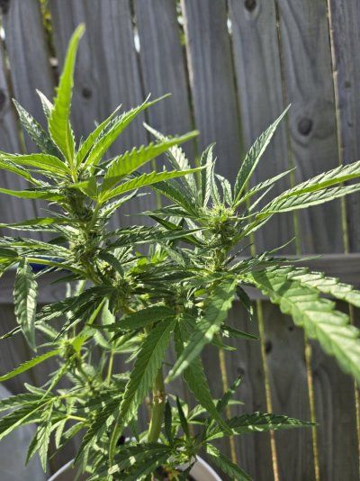 20250817_103434.jpg