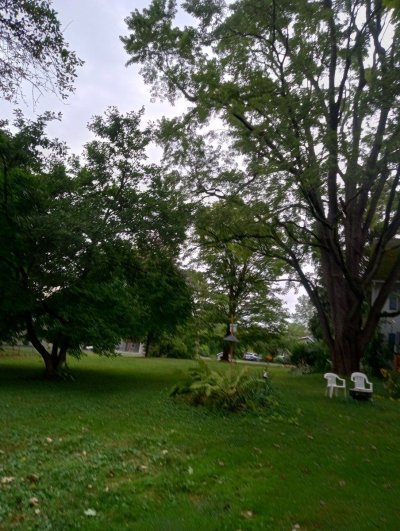IMG_20250817_174258047_HDR.jpg