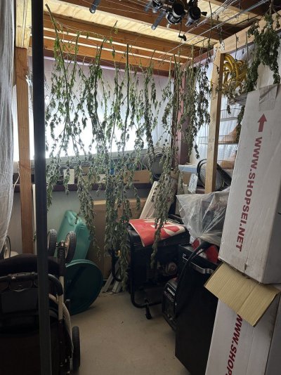2025 Grow