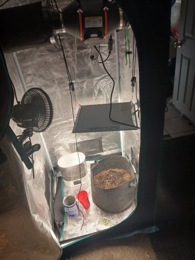 Is my set up ok