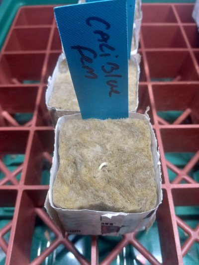 IMG_20250903_040142883_HDR.jpg