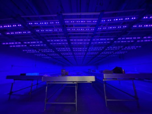 for-sale-lights-and-rosin-equipment-room-etc-4.jpg