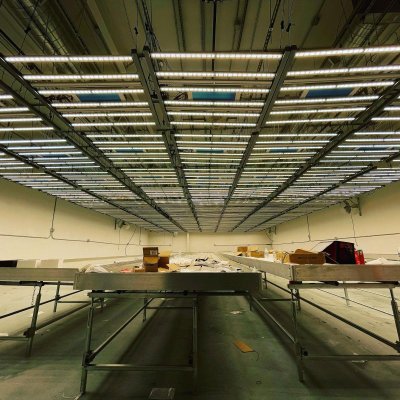 for-sale-lights-and-rosin-equipment-room-etc-5.jpg