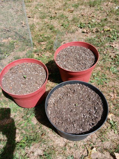 2025 Fall/Winter Indoor/Outdoor Grow