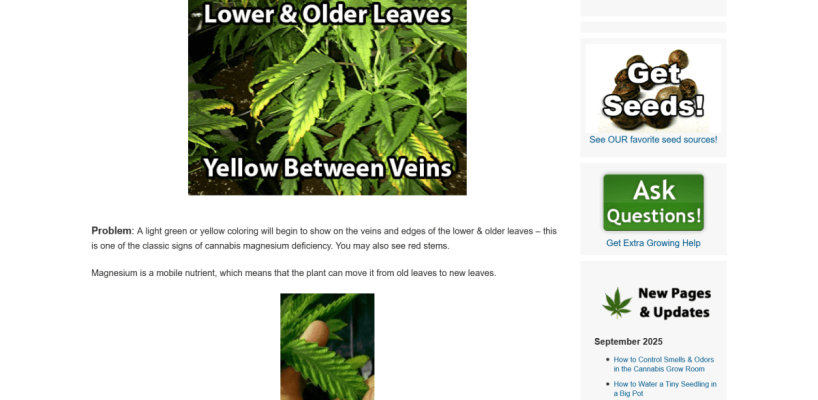 Screenshot 2025-09-25 at 08-58-02 How to fix Cannabis Magnesium Deficiency (Mg) Pics & Symptoms.png