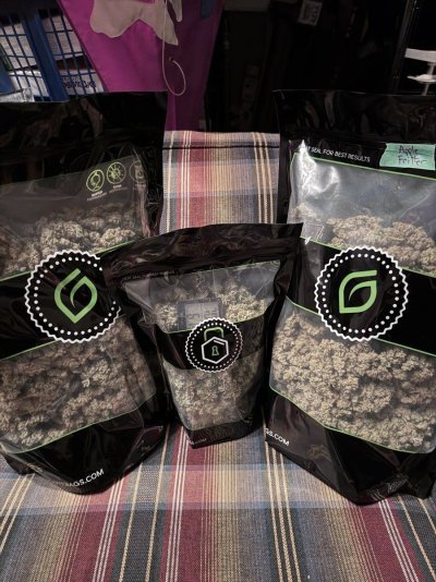 A peek inside my grow tent.