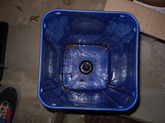 DSCN4141.JPG