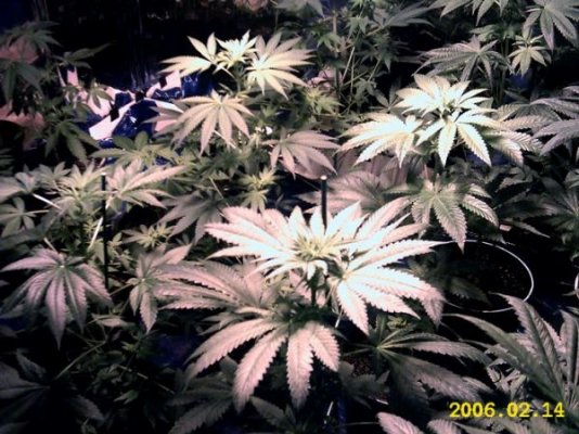 842whole-crop-view-2-med.jpg