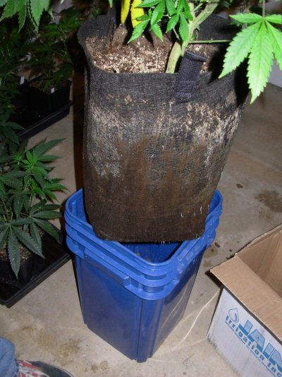 DSCN4150.JPG