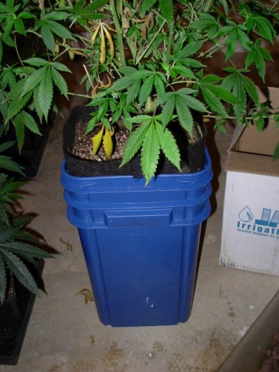 DSCN4151.JPG