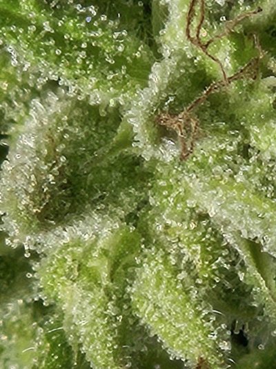 clear-to-cloudy-to-15-amber-when-worried-in-pa-2.jpg