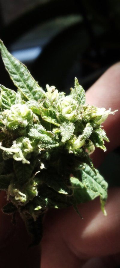 thanks guys for the tips here are the results