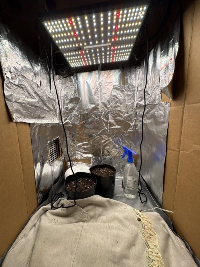 New grower need recommendations and tips