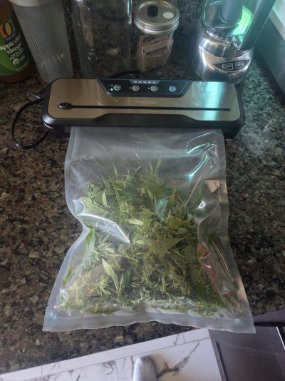 Almost time to Harvest! Thoughts?