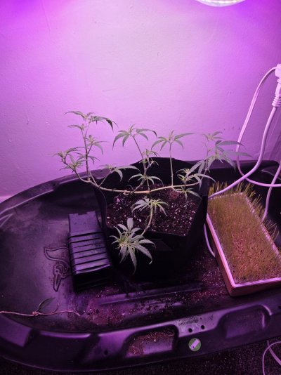 Hell yes! Gettin there for sure