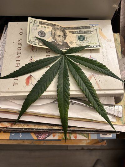 THE TRAINWRECK. Brought to you by thcfarrmer…..