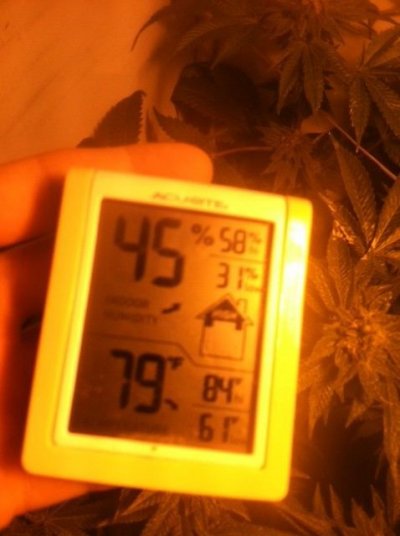 photo.JPG