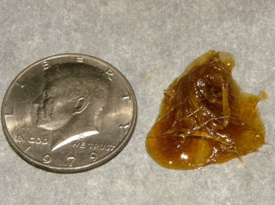 DSCN4629.JPG
