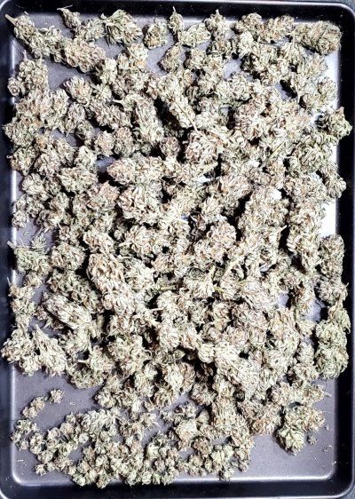 Let's See Your Frostiest Flowers