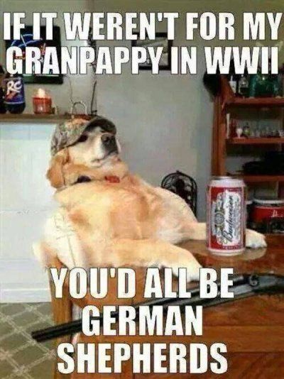 046b6085fc46ef9e468624ddd4bd7c8e.jpg