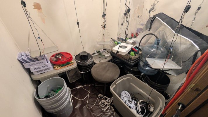 THCosmic's Closet: Chasing the Cosmic High