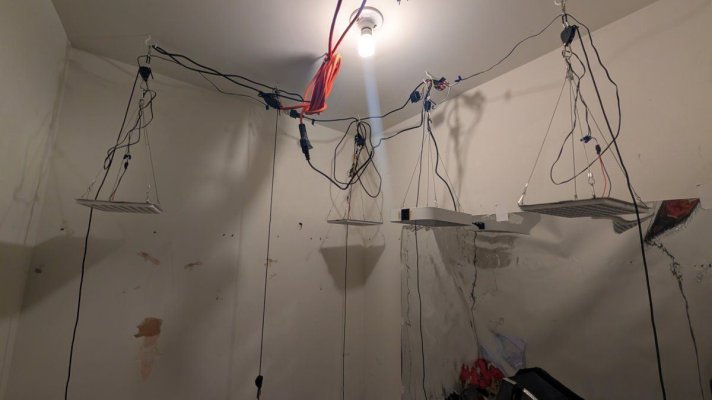 THCosmic's Closet: Chasing the Cosmic High