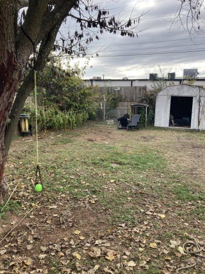 Big Al’s 2025 season indoor/outdoor grow in misery