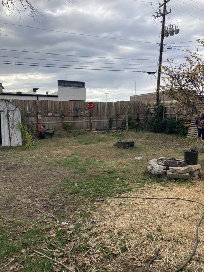 Big Al’s 2025 season indoor/outdoor grow in misery