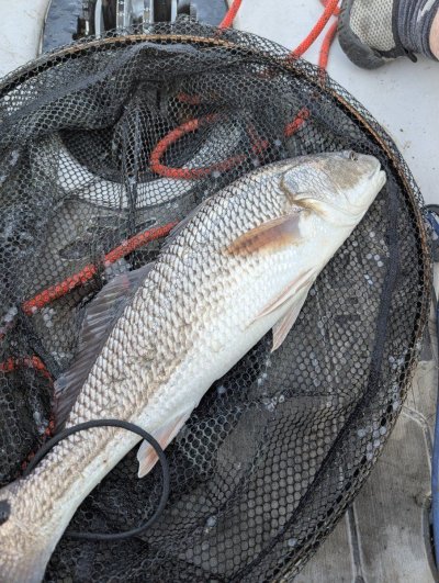 does-fishing-belong-here-2.jpg