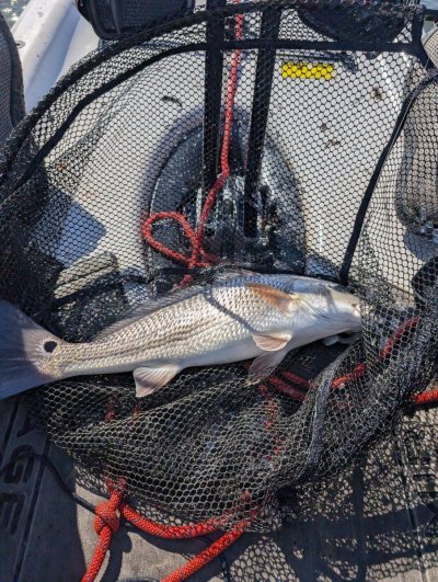 does-fishing-belong-here-6.jpg