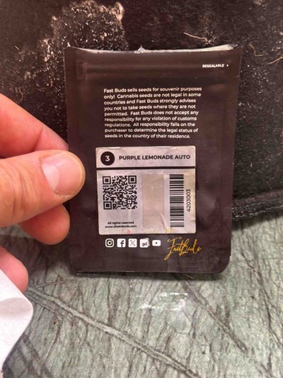 new-grower-checking-in-14.jpeg