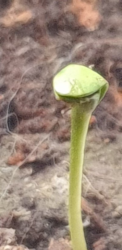 20251124_193054.jpg