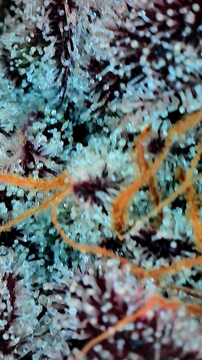 2025_11_22_19_13_50_387.png