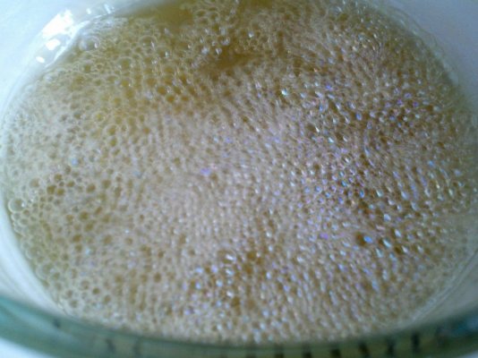 2012-01-17_10-38-11_482.jpg