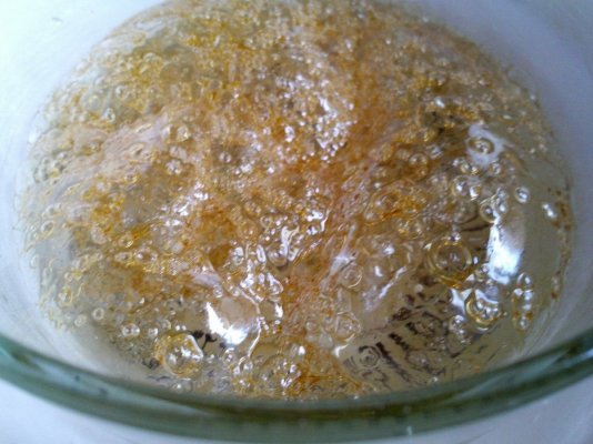 2012-01-17_10-39-26_944.jpg