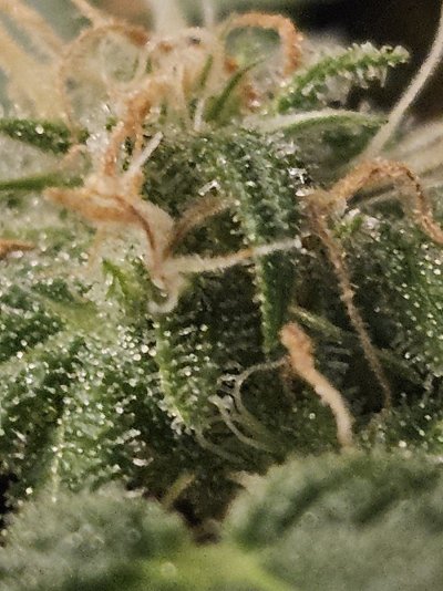 20251205_175305.jpg